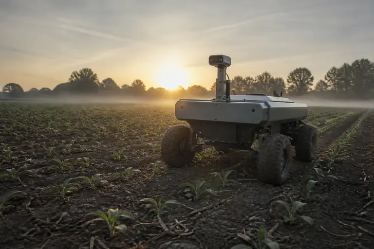 A small autonomous robot with a mast-mounted sensor driving along rows of young crops at dawn.